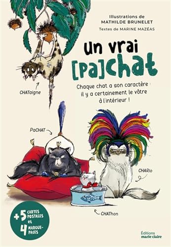 Un vrai (pa)chat: Chaque chat a son caractère : il y a certainement le vôtre à l'intérieur !