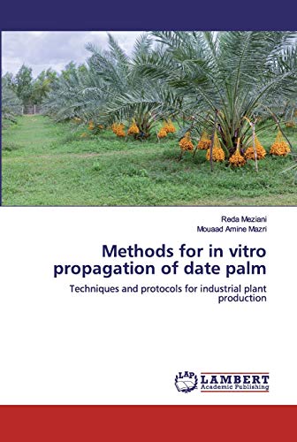 Methods for in vitro propagation of date palm: Techniques and protocols for industrial plant production von LAP Lambert Academic Publishing