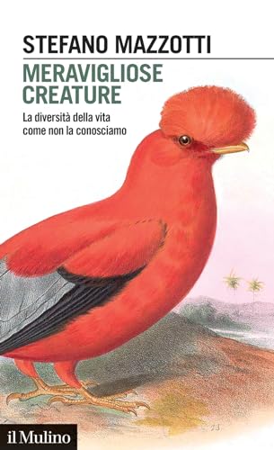 Meravigliose creature. La diversità della vita come non la conosciamo (Intersezioni) von Il Mulino