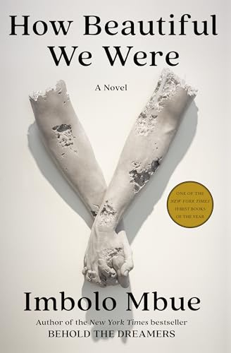 How Beautiful We Were: A Novel