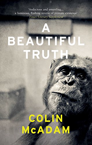 A Beautiful Truth A Beautiful Truth