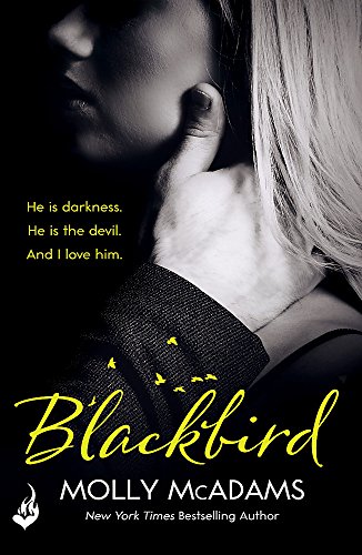 Blackbird: A story of true love against the odds (Redemption Series) von Headline Eternal