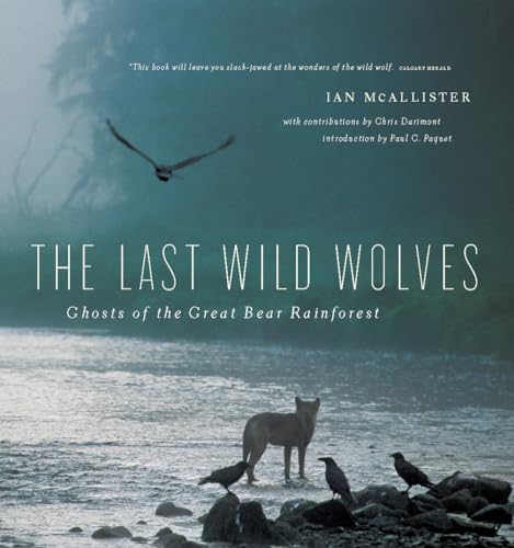 Last Wild Wolves: Ghosts of the Rain Forest von Greystone Books