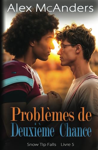 Problèmes de Deuxième Chance : Anthologie HH Romance entre Meilleurs Amis (Snow Tip Falls, Band 6) von Independently published