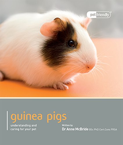 Guinea Pig - Pet Friendly: Understanding and Caring for Your Pet