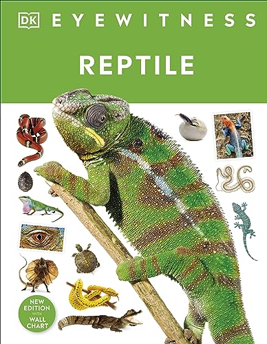 Reptile: DK Eyewitness von DK Children