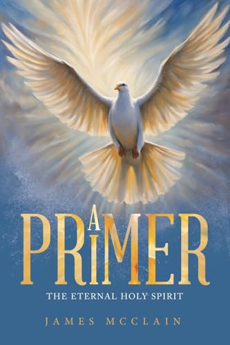 A Primer: The Eternal Holy Spirit von LifeRich Publishing