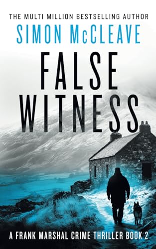 False Witness: A Frank Marshal Crime Thriller (Marshal of Snowdonia, Band 2) von Independently published