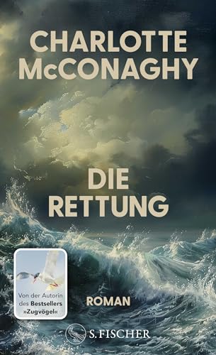 Die Rettung: Roman