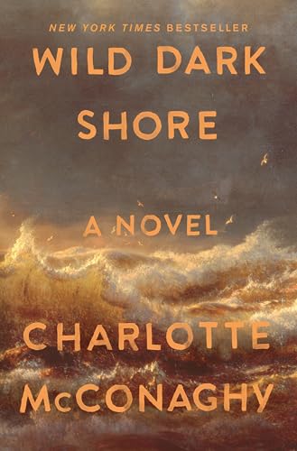 Wild Dark Shore: A Novel von Macmillan USA