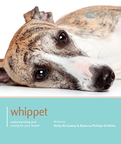 Whippet - Dog Expert: Understanding and Caring for Your Breed