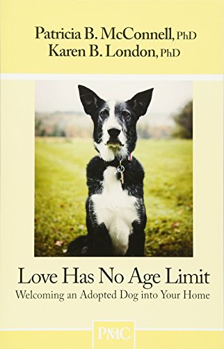 Love Has No Age Limit: Welcoming an Adopted Dog Into Your Home