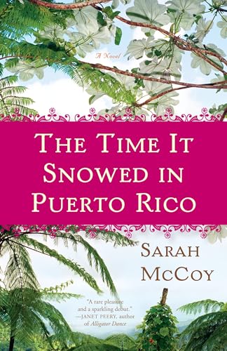 The Time It Snowed in Puerto Rico: A Novel The Time It Snowed in Puerto Rico: A Novel von Broadway Books