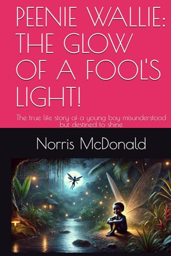 PEENIE WALLIE: THE GLOW OF A FOOL'S LIGHT!: The true life story of a young boy misunderstood but destined to shine von Independently published
