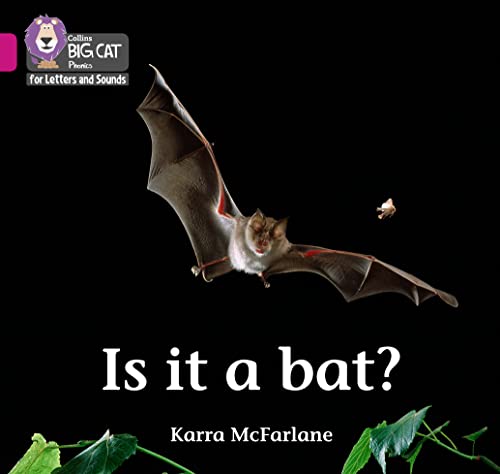 Is it a Bat?: Band 01B/Pink B (Collins Big Cat Phonics for Letters and Sounds) von Collins