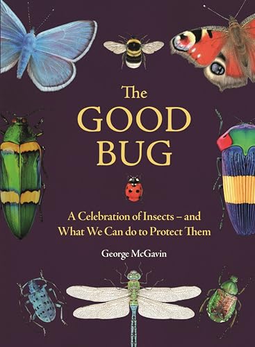 The Good Bug: A Celebration of Insects - And What We Can Do to Protect Them