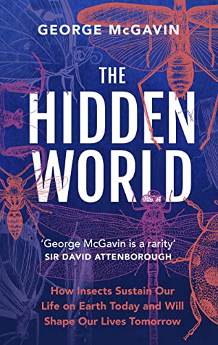 The Hidden World: How Insects Sustain Life on Earth Today and Will Shape Our Lives Tomorrow von Headline Welbeck Non-Fiction
