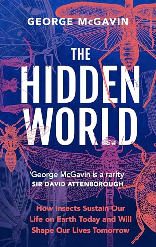 The Hidden World: How Insects Sustain Life on Earth Today and Will Shape Our Lives Tomorrow von Headline Welbeck Non-Fiction