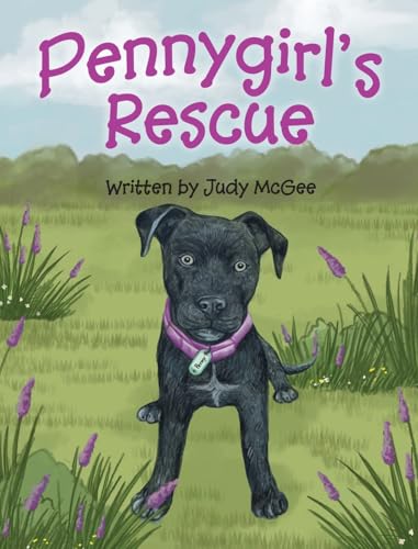 Pennygirl's Rescue (The Pennygirl) von Miriam Laundry Publishing