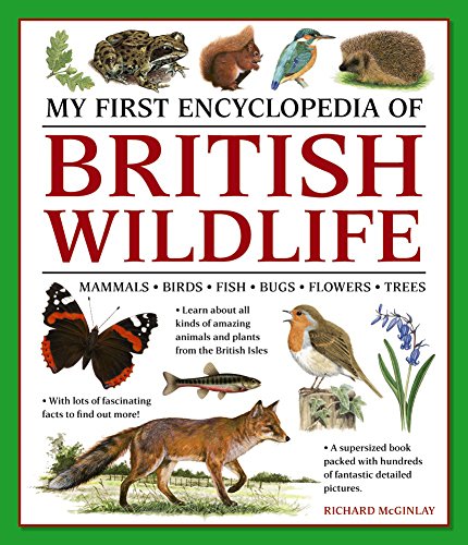 My First Encyclopedia of British Wildlife: Mammals, Birds, Fish, Bugs, Flowers, Trees von Armadillo Music