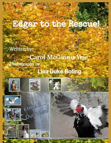 Edgar to the rescue ! von Lulu.com
