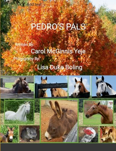Pedro's Pals von Lulu.com