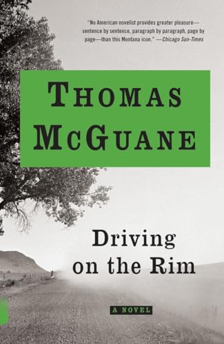 Driving on the Rim: A novel (Vintage Contemporaries)