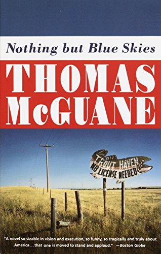 Nothing but Blue Skies (Vintage Contemporaries)