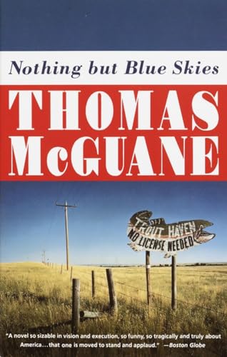 Nothing but Blue Skies (Vintage Contemporaries)