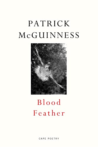 Blood Feather: ‘He writes with Proustian élan and Nabokovian delight’ John Banville von Jonathan Cape