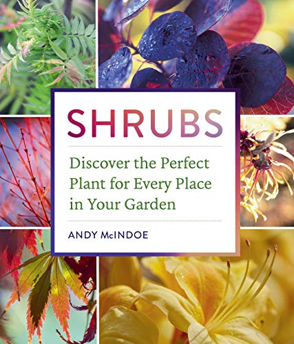 Shrubs: Discover the Perfect Plant for Every Place in Your Garden