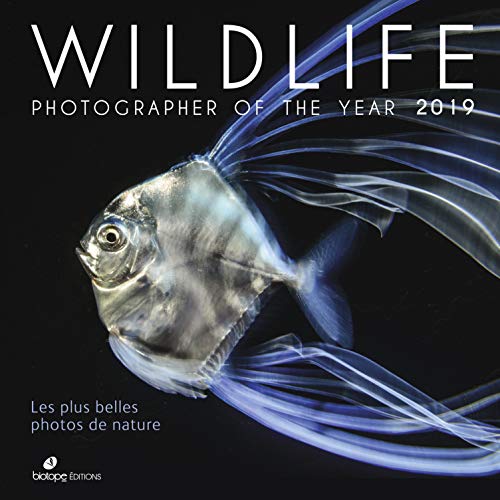 Wildlife photographer of the year 2019: Les plus belles photos de nature