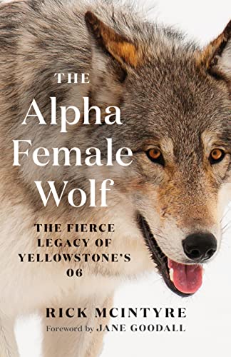 The Alpha Female Wolf: The Fierce Legacy of Yellowstone's 06 (The Alpha Wolves of Yellowstone, Band 4)