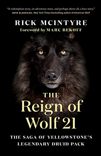 The Reign of Wolf 21: The Saga of Yellowstone's Legendary Druid Pack (The Alpha Wolves of Yellowstone, 2) von Greystone Books