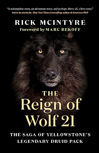 The Reign of Wolf 21: The Saga of Yellowstone's Legendary Druid Pack (The Alpha Wolves of Yellowstone, 2) von Greystone Books