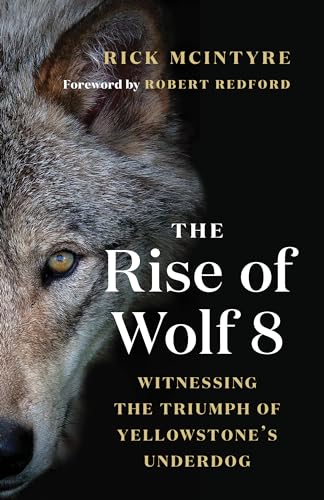 Rise of Wolf 8: Witnessing the Triumph of Yellowstone's Underdog (The Alpha Wolves of Yellowstone, 1)
