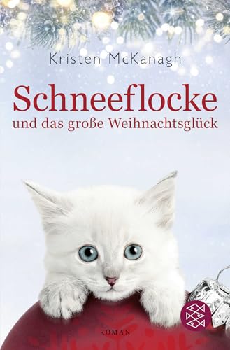 Schneeflocke und das große Weihnachtsglück