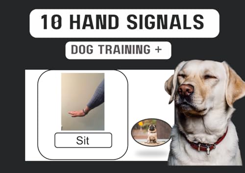 Dog Training Book: 10 Hand Signals For Dogs von Independently published