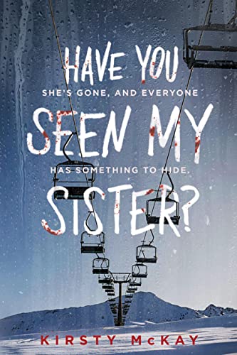Have You Seen My Sister? von Sourcebooks Fire