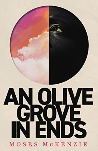 An Olive Grove in Ends An Olive Grove in Ends
