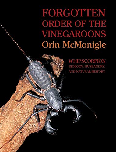 Forgotten Order of the Vinegaroons: Whipscorpion Biology, Husbandry, and Natural History