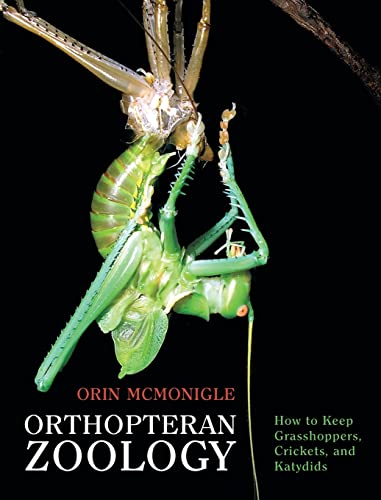 Orthopteran Zoology: How to Keep Grasshoppers, Crickets, and Katydids von Coachwhip Publications