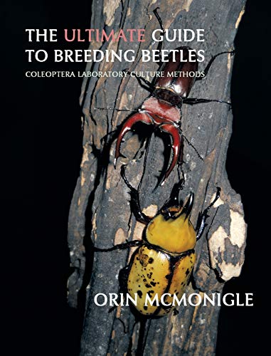 The Ultimate Guide to Breeding Beetles: Coleoptera Laboratory Culture Methods