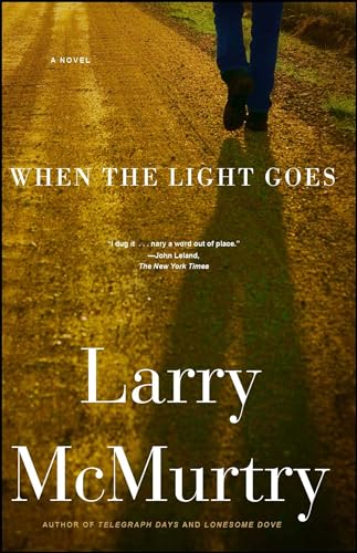 When the Light Goes: A Novel von Simon & Schuster