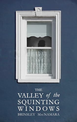 The Valley of the Squinting Windows von Mercier Press