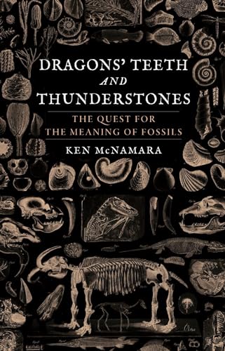 Dragons' Teeth and Thunderstones: The Quest for the Meaning of Fossils von Reaktion Books