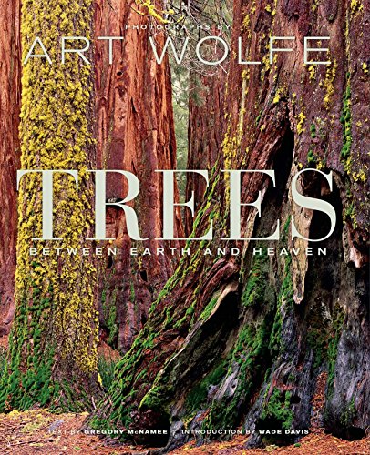 Trees: Between Earth and Heaven von Earth Aware Editions