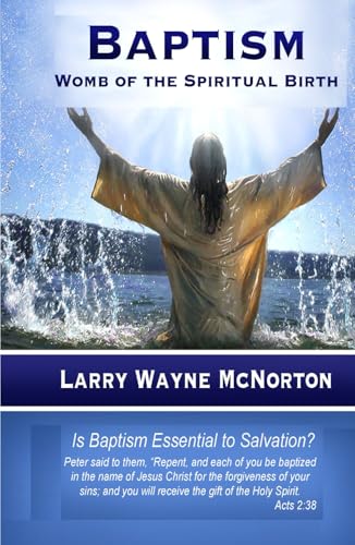 BAPTISM: Womb of the Spiritual Birth BAPTISM: Womb of the Spiritual Birth von Mermaid Publishers
