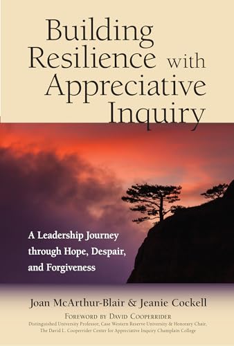 Building Resilience with Appreciative Inquiry: A Leadership Journey through Hope, Despair, and Forgiveness