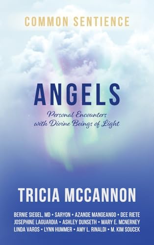Angels: Personal Encounters with Divine Beings of Light von Sacred Stories Publishing